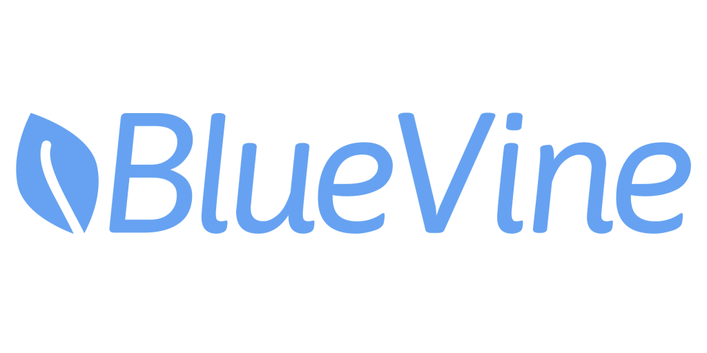 BlueVine Review [Loan Details & Comparisons]