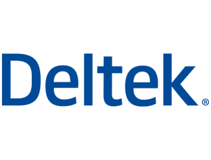 Deltek Vision Reviews