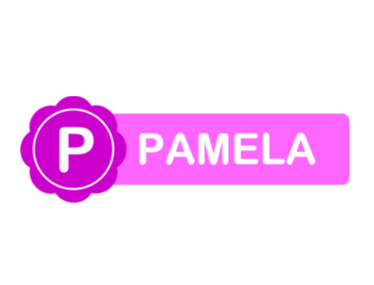 Pamela For Skype