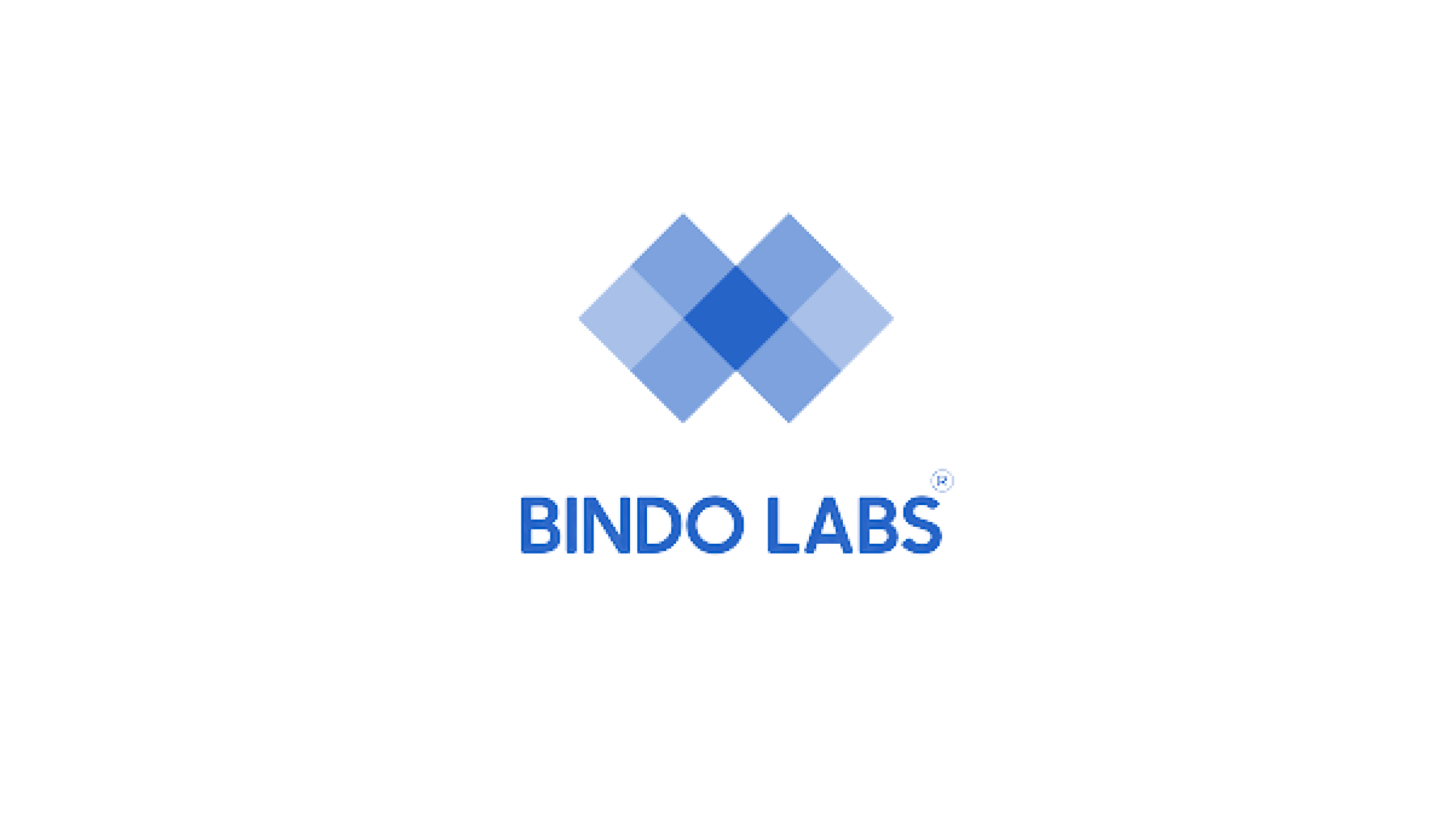 Bindo Logo